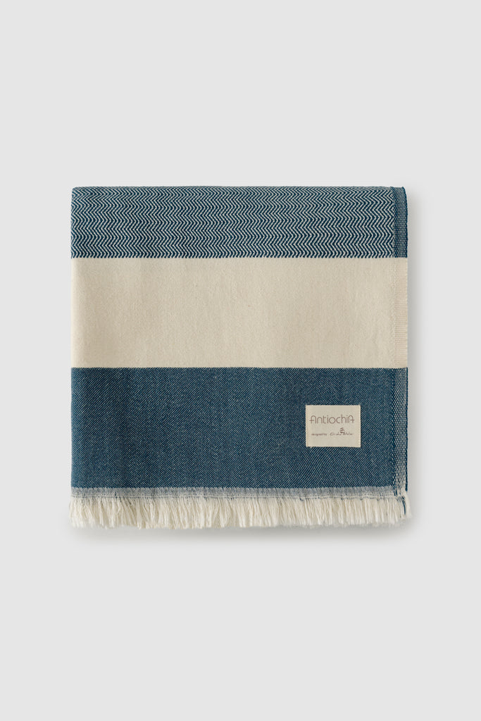 Risha Collection Throw - Teal and Beige